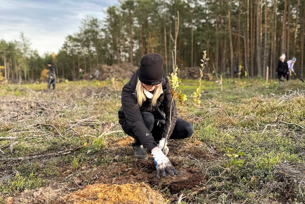 person planting forest