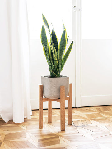 Mid-century plant stand made of solid wood