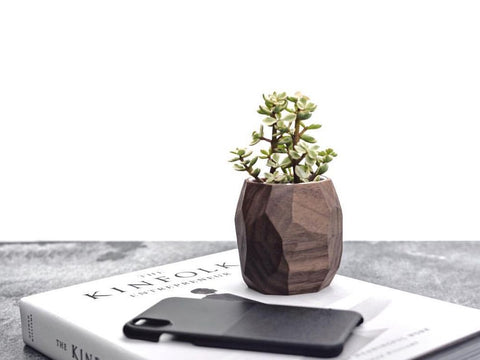 Eco Friendly Gift Idea for Plant Lovers