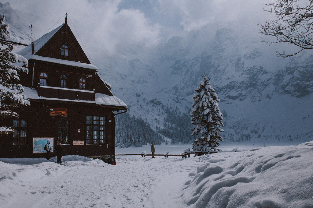 wooden house in winter