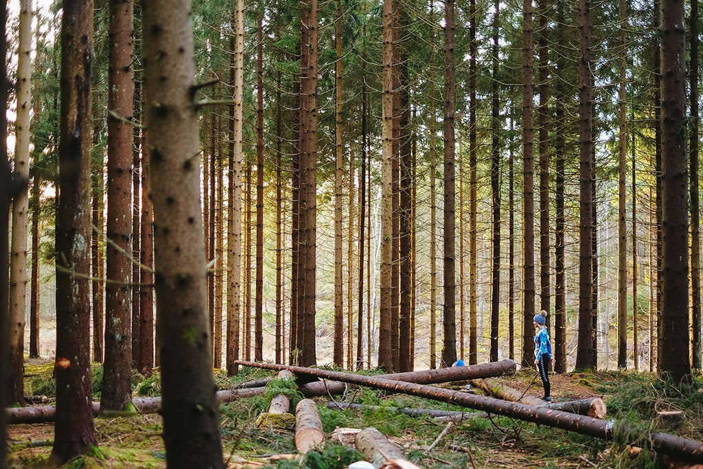 woman in forest