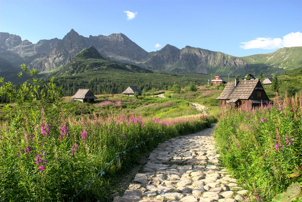 wooden hut in the mountains