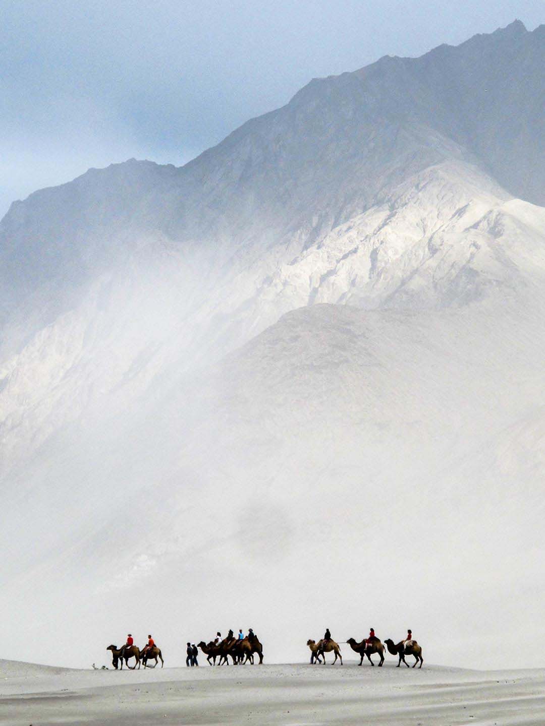 Camels left behind from the Silk Road days, Nubra, Ladakh