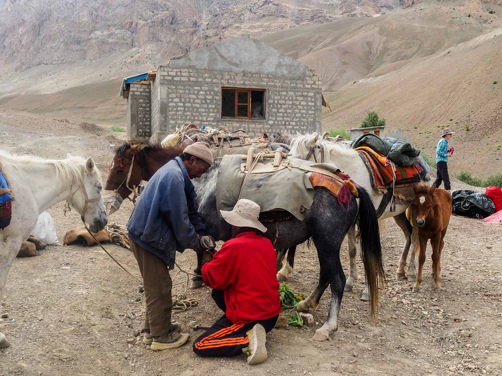 Trekking in Ladakh from Gyal to Kanji, Pony men checking horseshoes at Gyal
