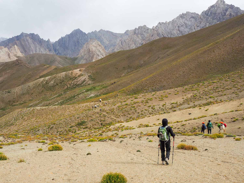 Trekking in Ladakh from Gyal to Kanji, descending from the Sarbantan La