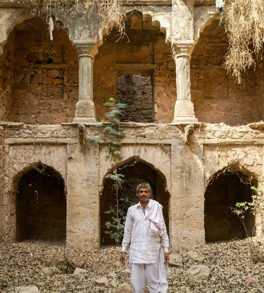 Bawari ki Bas stepwell