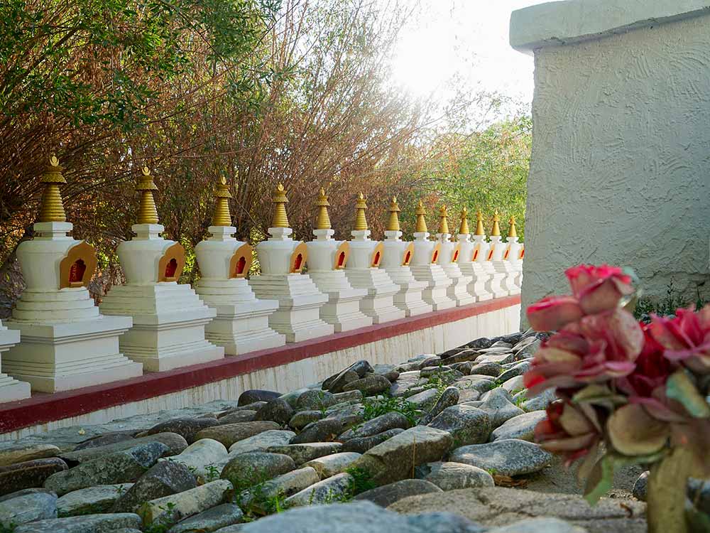 Gomang Stupa, Changspa, Leh, Ladakh