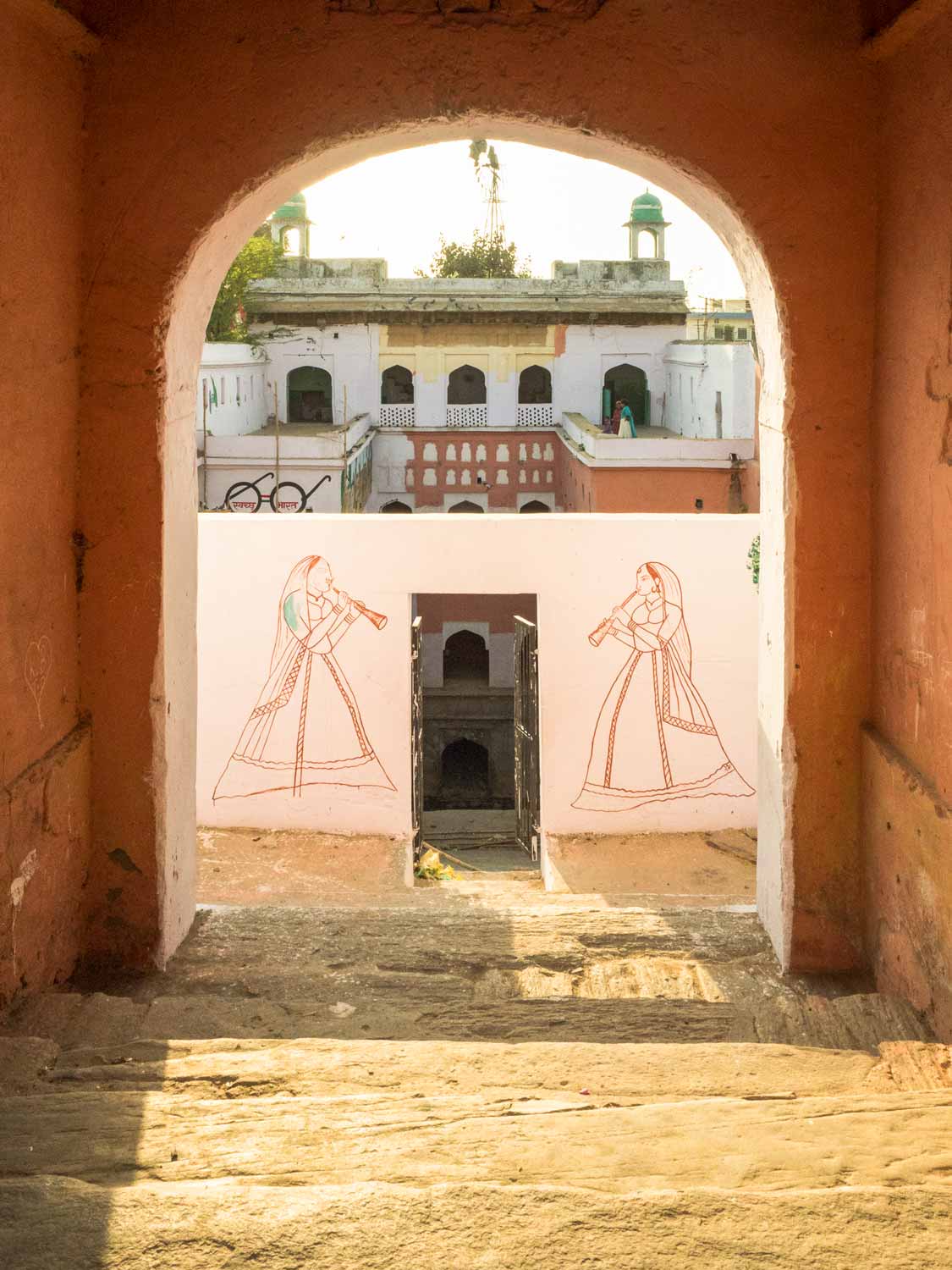 Bani das ki Bawari stepwell, Dausa