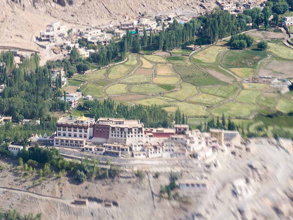 Phyang monastery, Ladakh