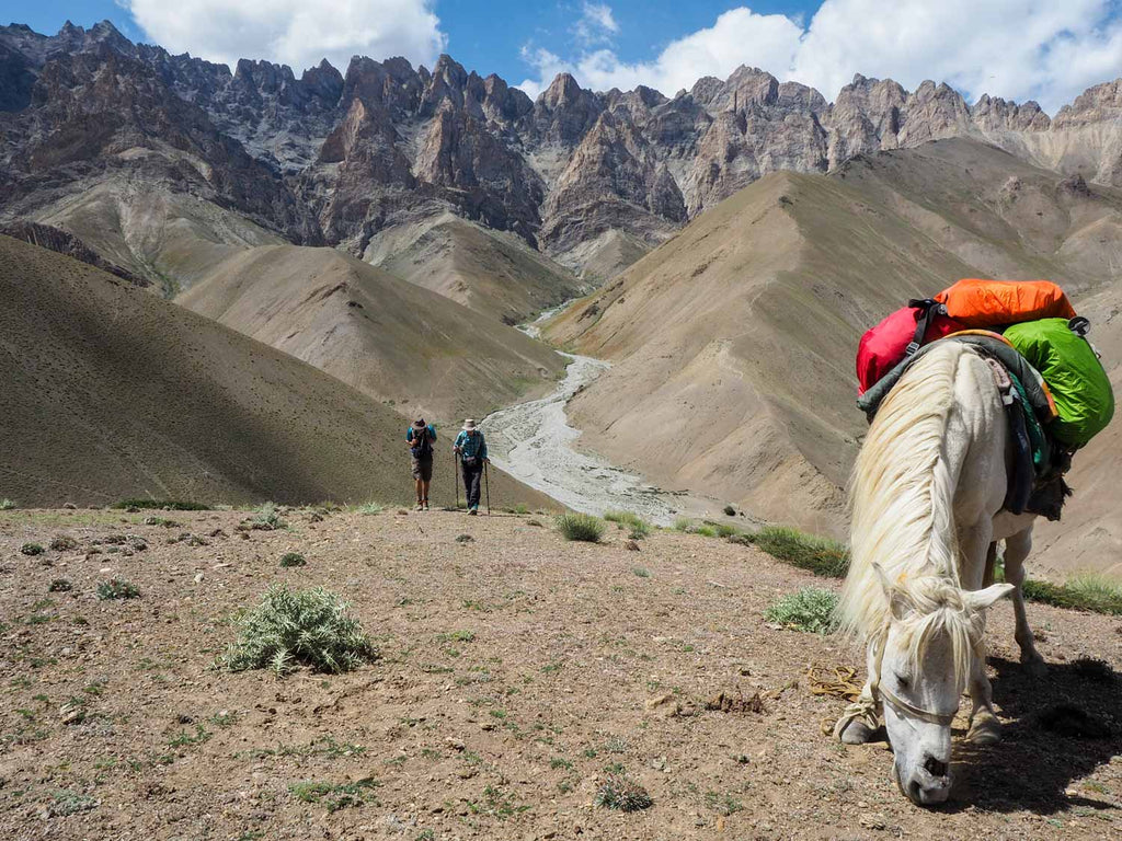 Trekking in Ladakh from Gyal to Kanji, ascending Yoma La