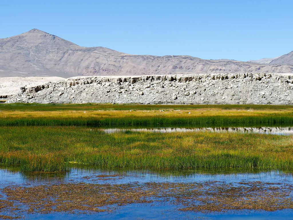 Salt deposits at Tso Kar, Ladakh