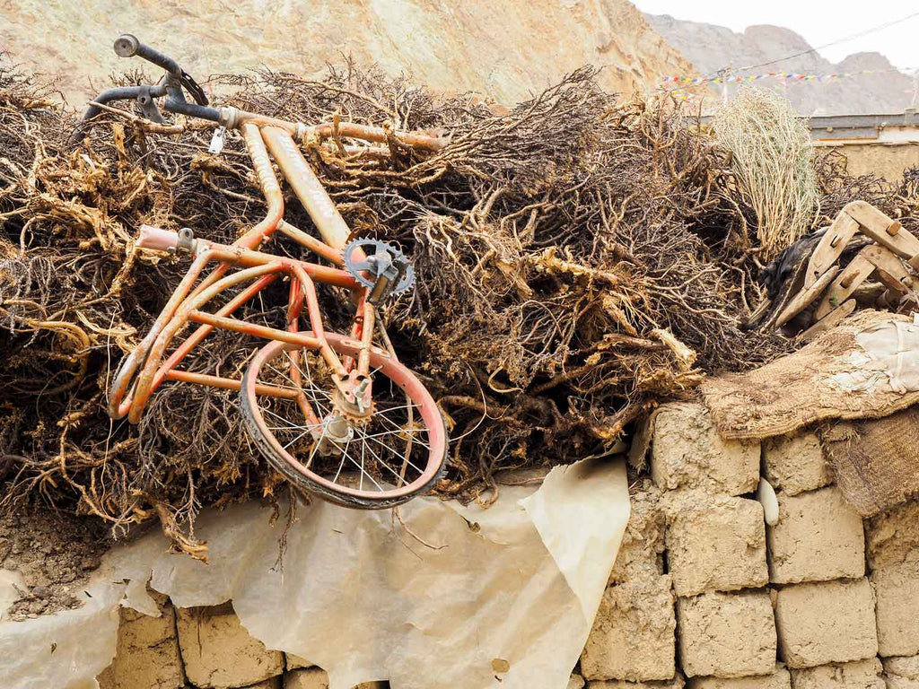 Bike without Saddle, Kanji Village, Ladakh