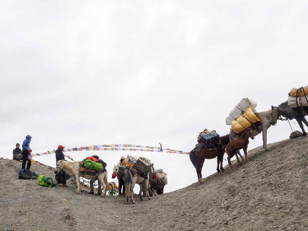 Horses and Crew on the Yogma La, Ladakh