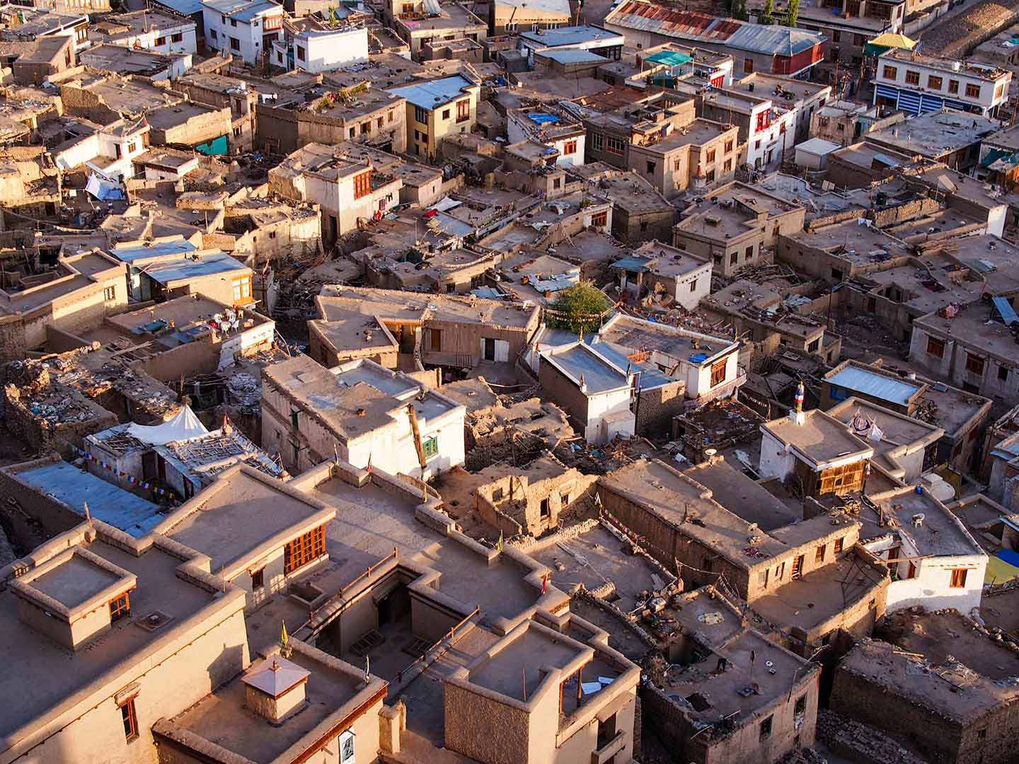 Old Town, Leh, seen from the Royal Palace