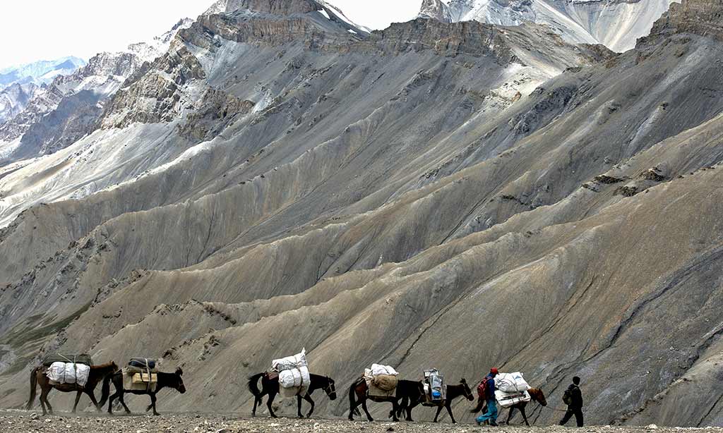 Ponies on the Zarlung Karpo La, Ladakh