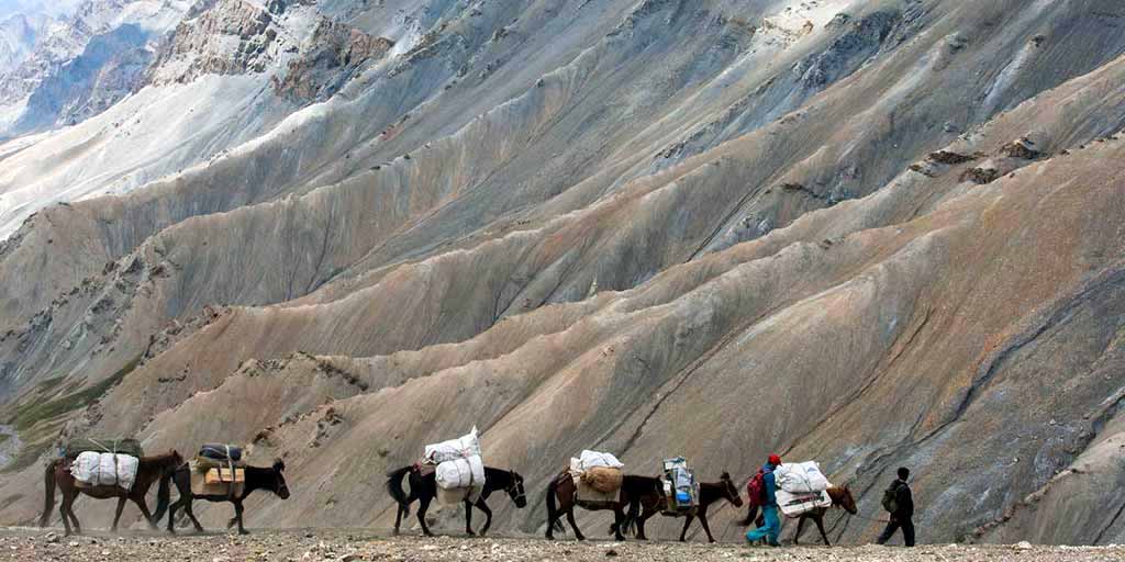 Ponies Dscending from the Zarlung Karpo La, Ladakh.jpg