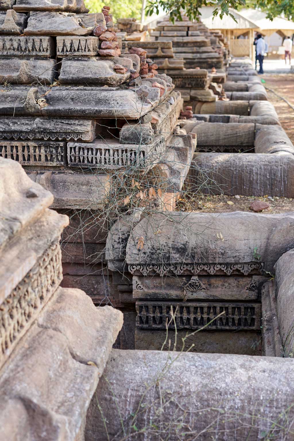 Ratba Bav shikaras, Gujarat