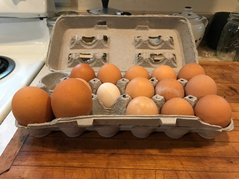 brown eggs in an open paper carton, several are very large