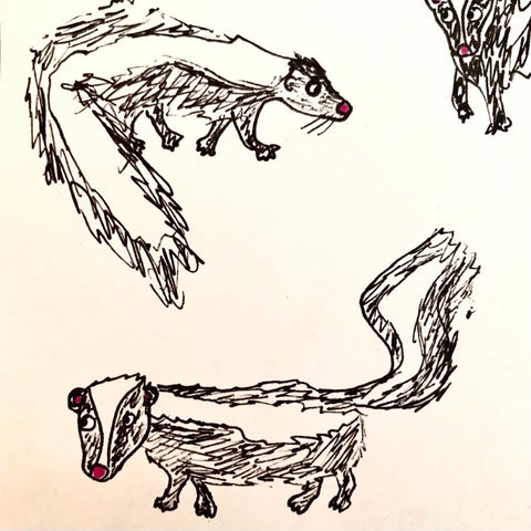 sketches of three striped skunks