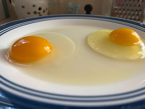 two raw eggs, out of the shell, are on a plate. once has a fresh raised white and yolk while the other is considerably flatter and runnier