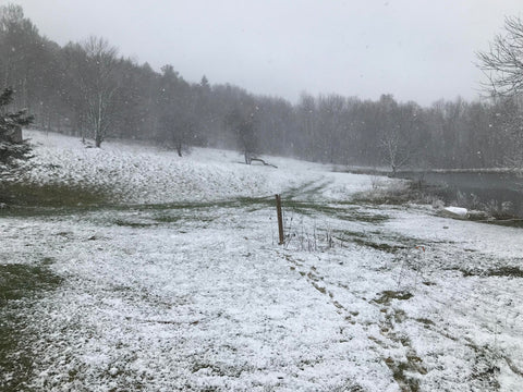 a field lightly covered in snow