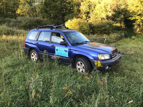 blue subaru forester parked in a green field