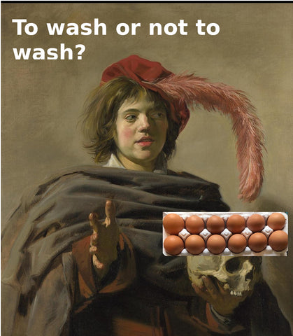 Young man with a skull by Frans Hals, a dozen eggs have been placed over the skull and the words to wash or not to wash? are at the top of the image