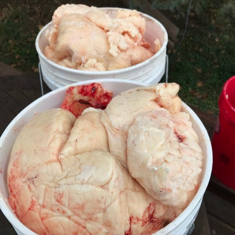 two buckets filled with beef fat