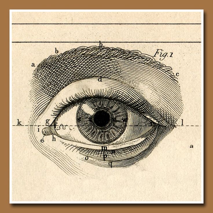 Meibomian Gland Dysfunction (MGD) hero image