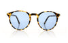 Pagani Dandy 228 Tortoiseshell Sunglasses - Front