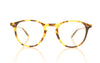 Garrett Leight Hampton 1001 BIO SPT Tortoise Glasses - Front