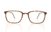 Lindberg Acetanium 1231 A168 Tortoise Glasses - Front