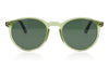 Pagani Dandy 811LTD Green Sunglasses - Front