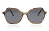 Pagani Circe 013 013 Tortoise Sunglasses - Front