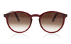 Pagani Dandy 911 Tortoise Sunglasses - Front