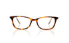 Barton Perreira Cassady SPC Spanish Cedar Glasses - Front