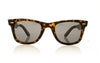 Ray-Ban Wayfarer 1292B1 Havana On Trasparent Light Bro Sunglasses - Front