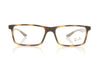 Ray-Ban 0RX8901 5846 Havana Glasses - Front