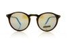 Serengeti Raffaele 8835 Shiny Brown Sunglasses - Front