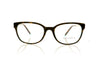 Tiffany 0TF2177 8134 Havana Glasses - Front