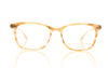 Barton Perreira Bader RWT/ROG Brown Glasses - Front