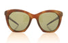 Bollé Prize BS029004 Dark Tortoise Sunglasses - Front