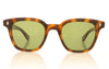 Garrett Leight Broadway SPBRNSH Spotted Brown Shell Sunglasses - Front