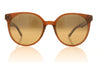 Maui Jim Mehana 10 Rootbeer Sunglasses - Front