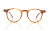 Tavat SC025 HAV Havana Glasses - Front