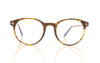 Tom Ford FT5695-B/V TF5695 52 Havana Glasses - Front