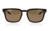 Barton Perreira Hamilton DAW Dark Walnut Sunglasses - Front