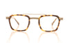 XIT Eyewear 019 133 Tortoise Glasses - Front