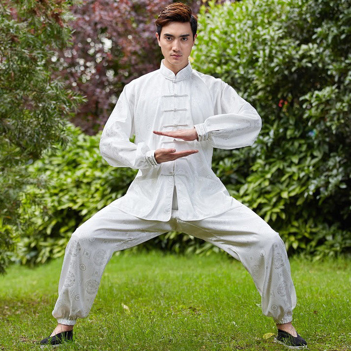 Auspicious Pattern Silk Blend Traditional Chinese Tai Chi Suit – IDREAMMART