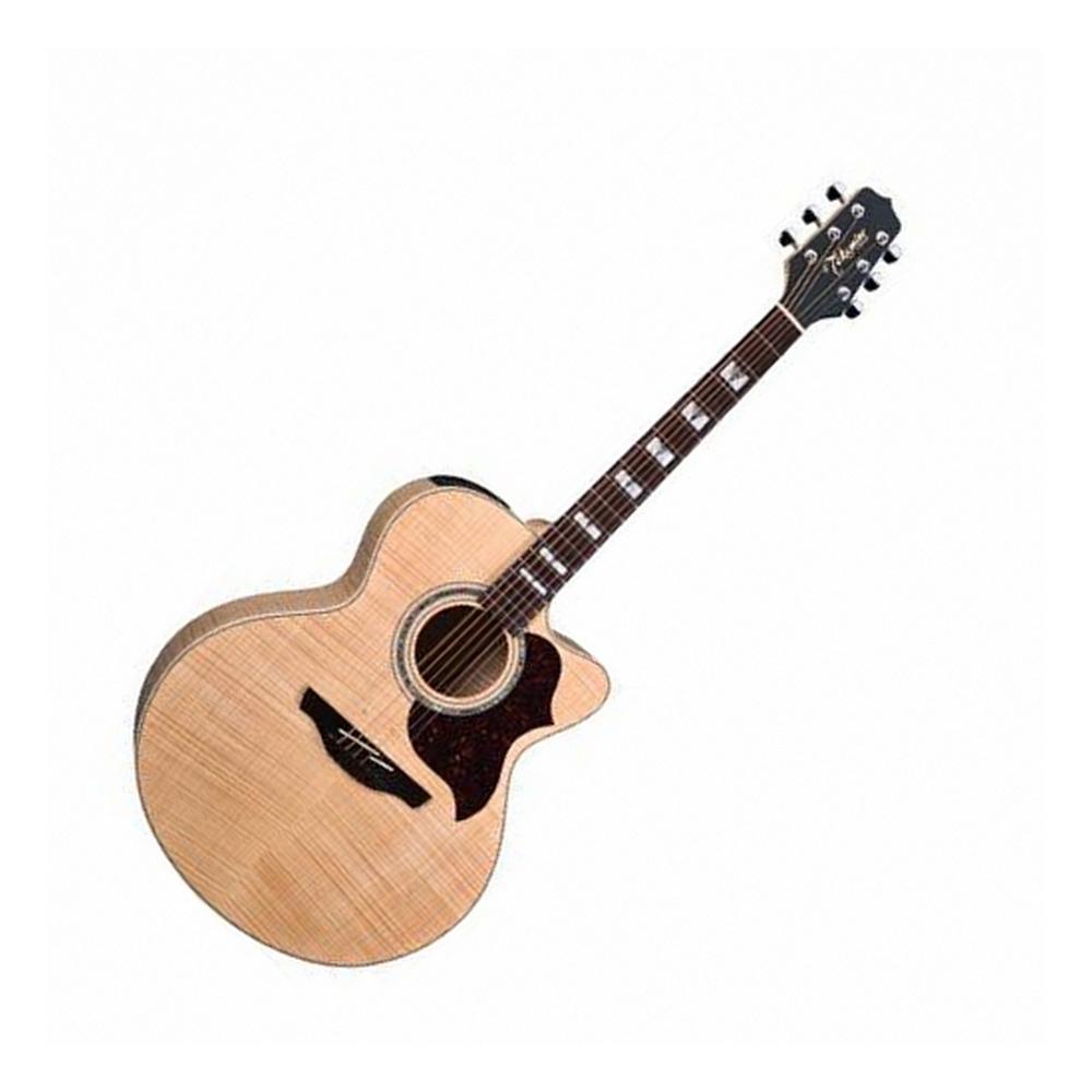 valencia 12 string guitar